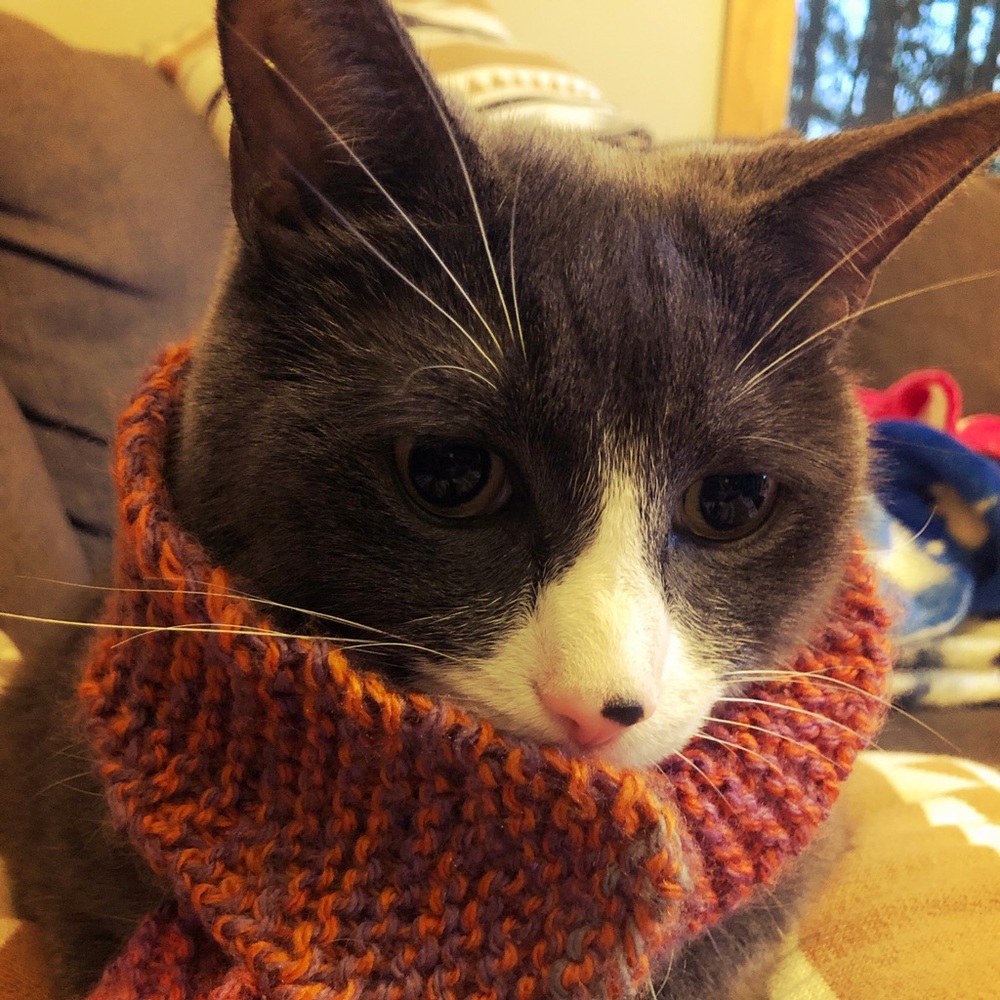 Meet your Posher, Becky